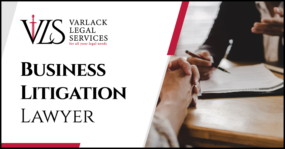 Business Litigation Lawyer